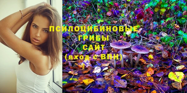 шишки Абинск